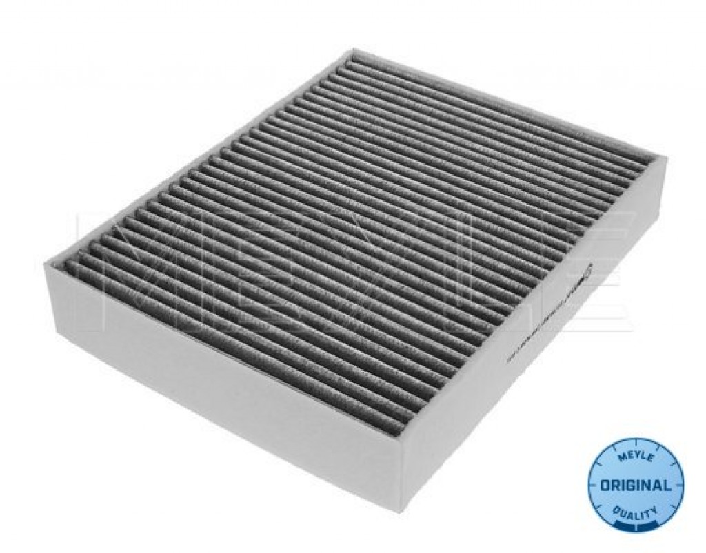 Micro Filter (Carbon Quality) F20 F21 F30 F31 F34